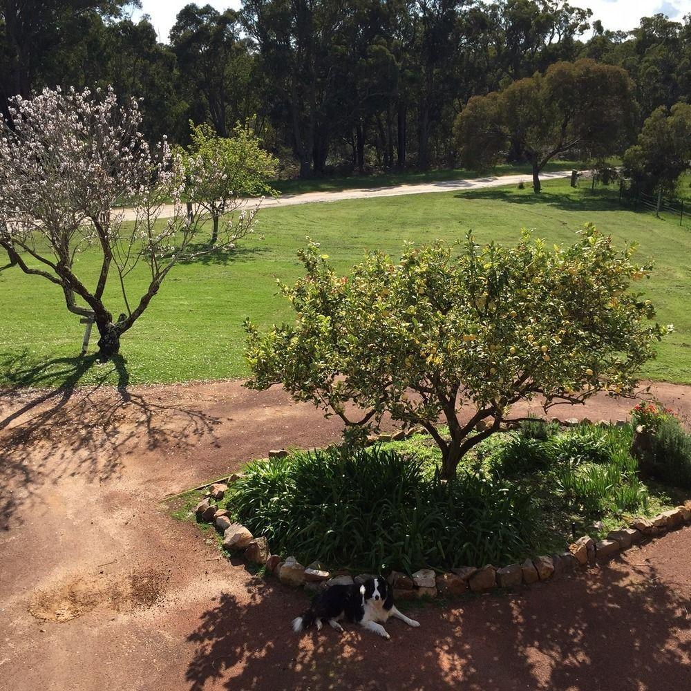 Erravilla Country Estate Spa Suite Accommodation Cowaramup Εξωτερικό φωτογραφία