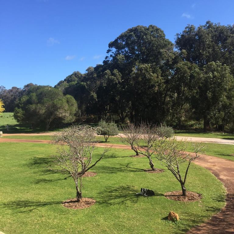 Erravilla Country Estate Spa Suite Accommodation Cowaramup Εξωτερικό φωτογραφία